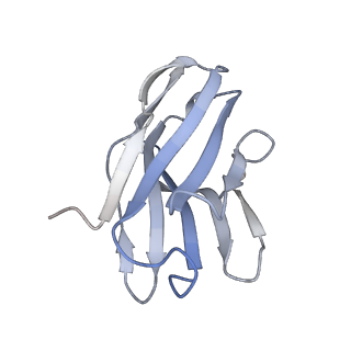 29798_8g76_E_v1-0
SARS-CoV-2 spike/Nb5 complex