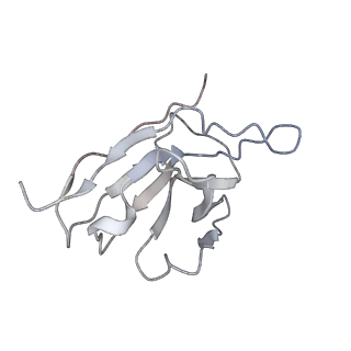 29799_8g77_F_v1-0
SARS-CoV-2 spike/Nb6 complex