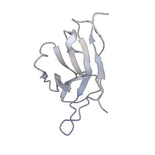 29799_8g77_G_v1-0
SARS-CoV-2 spike/Nb6 complex