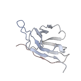 29799_8g77_K_v1-0
SARS-CoV-2 spike/Nb6 complex