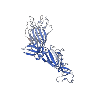 29802_8g78_A_v1-0
Local refinement of SARS-CoV-2 spike/nanobody mixture complex around NTD