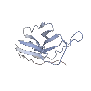 29802_8g78_E_v1-0
Local refinement of SARS-CoV-2 spike/nanobody mixture complex around NTD