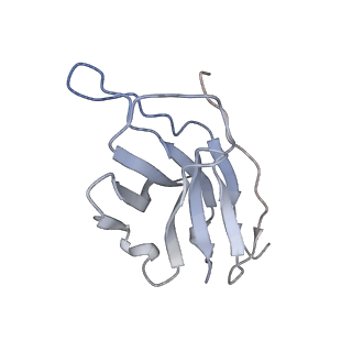 29802_8g78_F_v1-0
Local refinement of SARS-CoV-2 spike/nanobody mixture complex around NTD