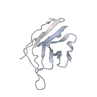 29802_8g78_G_v1-0
Local refinement of SARS-CoV-2 spike/nanobody mixture complex around NTD