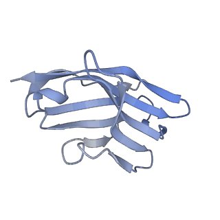 29802_8g78_I_v1-0
Local refinement of SARS-CoV-2 spike/nanobody mixture complex around NTD