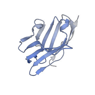 29802_8g78_J_v1-0
Local refinement of SARS-CoV-2 spike/nanobody mixture complex around NTD