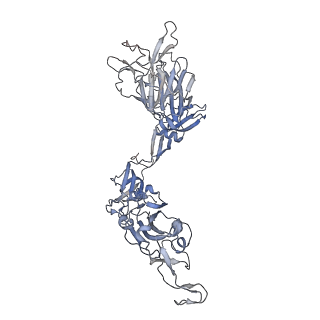 29806_8g7c_A_v1-0
local refinement of SARS-CoV-2 spike/Nb4 complex with 2 RBDs up and 3 Nb4 bound