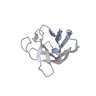 29806_8g7c_E_v1-0
local refinement of SARS-CoV-2 spike/Nb4 complex with 2 RBDs up and 3 Nb4 bound