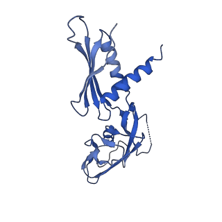 29812_8g7e_G_v1-1
Cryo-EM structure of 3DVA component 0 of Escherichia coli que-PEC (paused elongation complex) RNA Polymerase plus preQ1 ligand