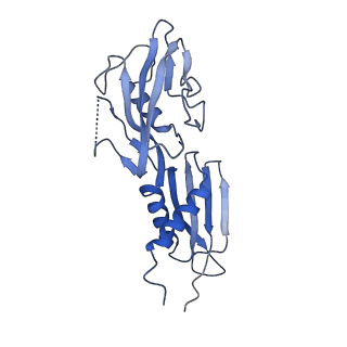 29812_8g7e_H_v1-1
Cryo-EM structure of 3DVA component 0 of Escherichia coli que-PEC (paused elongation complex) RNA Polymerase plus preQ1 ligand
