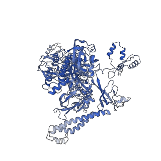 29812_8g7e_I_v1-1
Cryo-EM structure of 3DVA component 0 of Escherichia coli que-PEC (paused elongation complex) RNA Polymerase plus preQ1 ligand