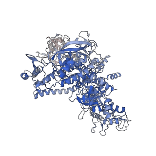 29812_8g7e_J_v1-1
Cryo-EM structure of 3DVA component 0 of Escherichia coli que-PEC (paused elongation complex) RNA Polymerase plus preQ1 ligand