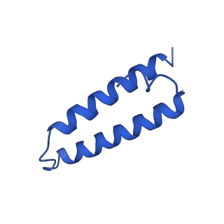 29819_8g7p_1_v1-1
Structure of the Escherichia coli 70S ribosome in complex with EF-Tu and Ile-tRNAIle(LAU) bound to the cognate AUA codon (Structure I)