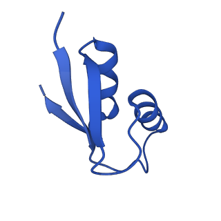 29819_8g7p_2_v1-1
Structure of the Escherichia coli 70S ribosome in complex with EF-Tu and Ile-tRNAIle(LAU) bound to the cognate AUA codon (Structure I)