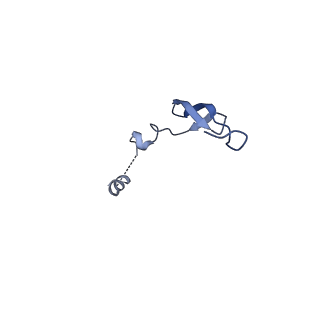 29819_8g7p_3_v1-1
Structure of the Escherichia coli 70S ribosome in complex with EF-Tu and Ile-tRNAIle(LAU) bound to the cognate AUA codon (Structure I)