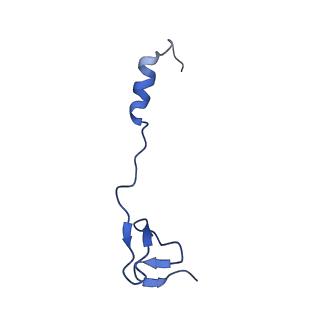 29819_8g7p_4_v1-1
Structure of the Escherichia coli 70S ribosome in complex with EF-Tu and Ile-tRNAIle(LAU) bound to the cognate AUA codon (Structure I)