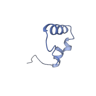 29819_8g7p_6_v1-1
Structure of the Escherichia coli 70S ribosome in complex with EF-Tu and Ile-tRNAIle(LAU) bound to the cognate AUA codon (Structure I)