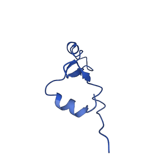 29819_8g7p_7_v1-1
Structure of the Escherichia coli 70S ribosome in complex with EF-Tu and Ile-tRNAIle(LAU) bound to the cognate AUA codon (Structure I)