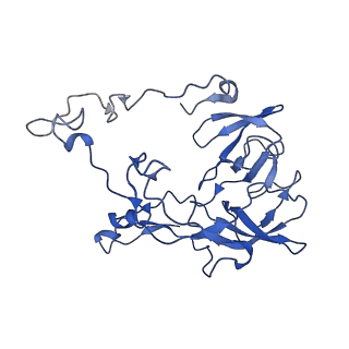 29819_8g7p_C_v1-1
Structure of the Escherichia coli 70S ribosome in complex with EF-Tu and Ile-tRNAIle(LAU) bound to the cognate AUA codon (Structure I)