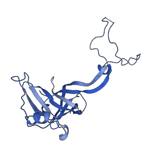 29819_8g7p_D_v1-1
Structure of the Escherichia coli 70S ribosome in complex with EF-Tu and Ile-tRNAIle(LAU) bound to the cognate AUA codon (Structure I)