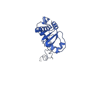 29819_8g7p_E_v1-1
Structure of the Escherichia coli 70S ribosome in complex with EF-Tu and Ile-tRNAIle(LAU) bound to the cognate AUA codon (Structure I)