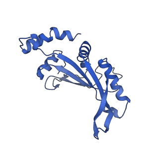 29819_8g7p_F_v1-1
Structure of the Escherichia coli 70S ribosome in complex with EF-Tu and Ile-tRNAIle(LAU) bound to the cognate AUA codon (Structure I)