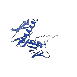 29819_8g7p_G_v1-1
Structure of the Escherichia coli 70S ribosome in complex with EF-Tu and Ile-tRNAIle(LAU) bound to the cognate AUA codon (Structure I)