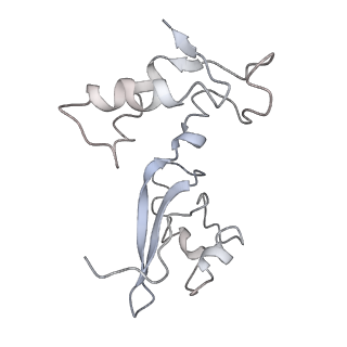 29819_8g7p_J_v1-1
Structure of the Escherichia coli 70S ribosome in complex with EF-Tu and Ile-tRNAIle(LAU) bound to the cognate AUA codon (Structure I)