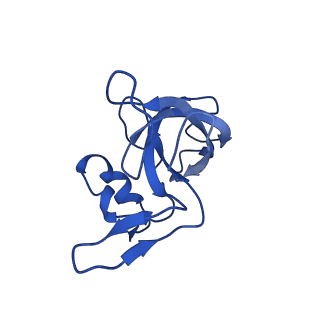 29819_8g7p_M_v1-1
Structure of the Escherichia coli 70S ribosome in complex with EF-Tu and Ile-tRNAIle(LAU) bound to the cognate AUA codon (Structure I)