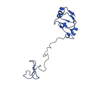 29819_8g7p_N_v1-1
Structure of the Escherichia coli 70S ribosome in complex with EF-Tu and Ile-tRNAIle(LAU) bound to the cognate AUA codon (Structure I)