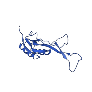 29819_8g7p_O_v1-1
Structure of the Escherichia coli 70S ribosome in complex with EF-Tu and Ile-tRNAIle(LAU) bound to the cognate AUA codon (Structure I)