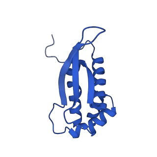 29819_8g7p_P_v1-1
Structure of the Escherichia coli 70S ribosome in complex with EF-Tu and Ile-tRNAIle(LAU) bound to the cognate AUA codon (Structure I)