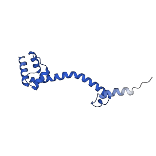 29819_8g7p_S_v1-1
Structure of the Escherichia coli 70S ribosome in complex with EF-Tu and Ile-tRNAIle(LAU) bound to the cognate AUA codon (Structure I)