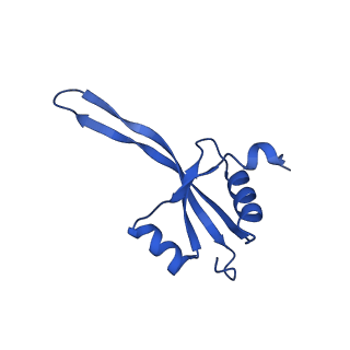 29819_8g7p_V_v1-1
Structure of the Escherichia coli 70S ribosome in complex with EF-Tu and Ile-tRNAIle(LAU) bound to the cognate AUA codon (Structure I)