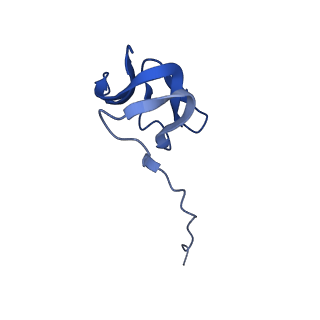 29819_8g7p_Y_v1-1
Structure of the Escherichia coli 70S ribosome in complex with EF-Tu and Ile-tRNAIle(LAU) bound to the cognate AUA codon (Structure I)