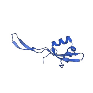 29819_8g7p_Z_v1-1
Structure of the Escherichia coli 70S ribosome in complex with EF-Tu and Ile-tRNAIle(LAU) bound to the cognate AUA codon (Structure I)