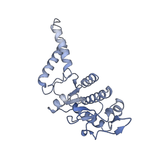 29819_8g7p_b_v1-1
Structure of the Escherichia coli 70S ribosome in complex with EF-Tu and Ile-tRNAIle(LAU) bound to the cognate AUA codon (Structure I)