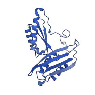 29819_8g7p_c_v1-1
Structure of the Escherichia coli 70S ribosome in complex with EF-Tu and Ile-tRNAIle(LAU) bound to the cognate AUA codon (Structure I)