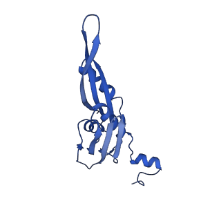 29819_8g7p_e_v1-1
Structure of the Escherichia coli 70S ribosome in complex with EF-Tu and Ile-tRNAIle(LAU) bound to the cognate AUA codon (Structure I)