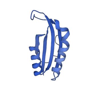 29819_8g7p_f_v1-1
Structure of the Escherichia coli 70S ribosome in complex with EF-Tu and Ile-tRNAIle(LAU) bound to the cognate AUA codon (Structure I)