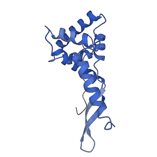 29819_8g7p_g_v1-1
Structure of the Escherichia coli 70S ribosome in complex with EF-Tu and Ile-tRNAIle(LAU) bound to the cognate AUA codon (Structure I)