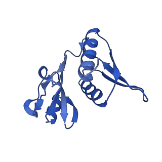 29819_8g7p_h_v1-1
Structure of the Escherichia coli 70S ribosome in complex with EF-Tu and Ile-tRNAIle(LAU) bound to the cognate AUA codon (Structure I)