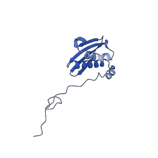 29819_8g7p_i_v1-1
Structure of the Escherichia coli 70S ribosome in complex with EF-Tu and Ile-tRNAIle(LAU) bound to the cognate AUA codon (Structure I)