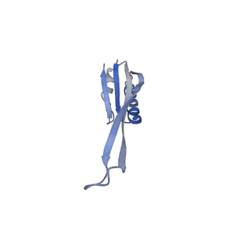 29819_8g7p_j_v1-1
Structure of the Escherichia coli 70S ribosome in complex with EF-Tu and Ile-tRNAIle(LAU) bound to the cognate AUA codon (Structure I)