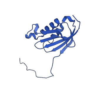 29819_8g7p_k_v1-1
Structure of the Escherichia coli 70S ribosome in complex with EF-Tu and Ile-tRNAIle(LAU) bound to the cognate AUA codon (Structure I)