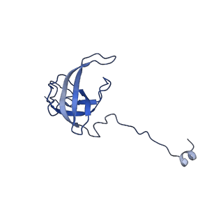 29819_8g7p_l_v1-1
Structure of the Escherichia coli 70S ribosome in complex with EF-Tu and Ile-tRNAIle(LAU) bound to the cognate AUA codon (Structure I)