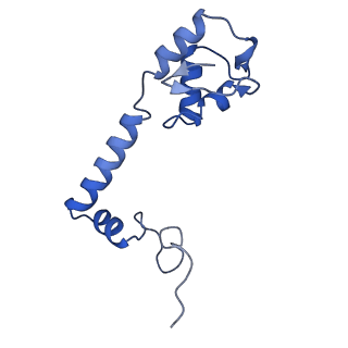 29819_8g7p_m_v1-1
Structure of the Escherichia coli 70S ribosome in complex with EF-Tu and Ile-tRNAIle(LAU) bound to the cognate AUA codon (Structure I)