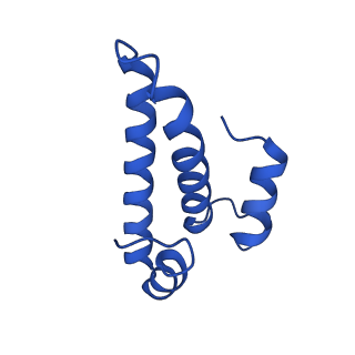 29819_8g7p_o_v1-1
Structure of the Escherichia coli 70S ribosome in complex with EF-Tu and Ile-tRNAIle(LAU) bound to the cognate AUA codon (Structure I)