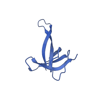 29819_8g7p_q_v1-1
Structure of the Escherichia coli 70S ribosome in complex with EF-Tu and Ile-tRNAIle(LAU) bound to the cognate AUA codon (Structure I)