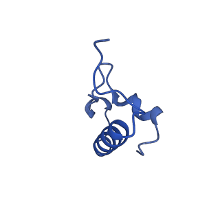 29819_8g7p_r_v1-1
Structure of the Escherichia coli 70S ribosome in complex with EF-Tu and Ile-tRNAIle(LAU) bound to the cognate AUA codon (Structure I)